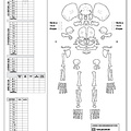Homme (périnatal) : conservation (7245 visites) Constandse-Westermann (T. S.), Meiklejohn (Ch.). ― The human skeletal material from Swifterbant, e... Homme (périnatal) : conservation
