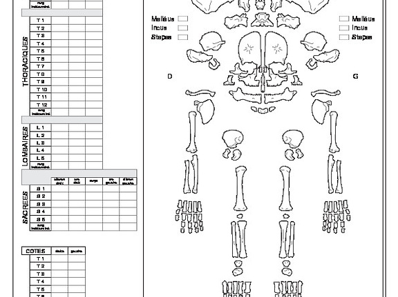 Homme (périnatal) : conservation (7245 visites) Constandse-Westermann (T. S.), Meiklejohn (Ch.). ― The human skeletal material from Swifterbant, e... Homme (périnatal) : conservation