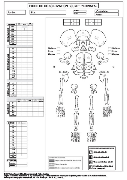 Homme (périnatal) : conservation