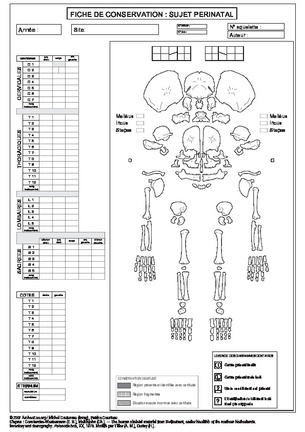 Homme (périnatal) : conservation