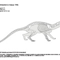 herpestes_ichneumon.pdf