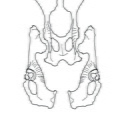 Pelvis (2309 visites) Marie-Cécile Soulier, pour ArchéoZoo.org, 2024. Source : Pales, Léon & Lambert, Charles (1971). A... Pelvis