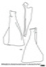Scapula