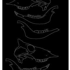 Crâne et mandibule (2725 visites) Marie-Cécile Soulier, pour ArchéoZoo.org, 2024. Source : Pales, Léon & Lambert, Charles (1971). A... Crâne et mandibule