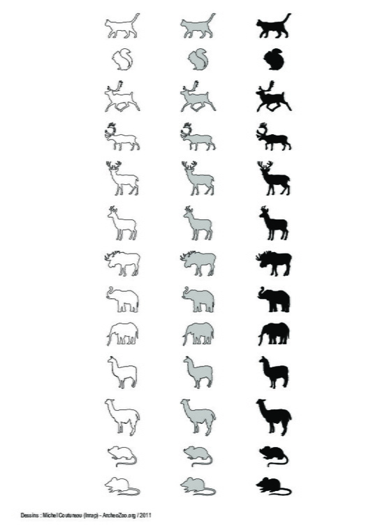 Mammifères terrestres (3)