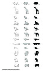 Mammifères terrestres (4)