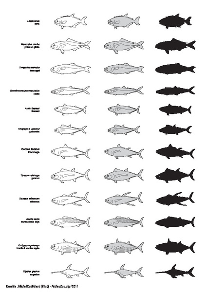 Poissons (2)