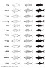 Poissons (2)