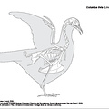 Rock dove (1256 visits) Dessin : Michel Coutureau (Inrap), 2005.
Révision : Véronique Laroulandie (CNRS), Jérémie Chomba... Rock dove