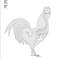 Coq (1214 visites) Dessin : Michel Coutureau (Inrap), 2004.
Révision : Véronique Laroulandie (CNRS), Jérémie Chomba... Coq