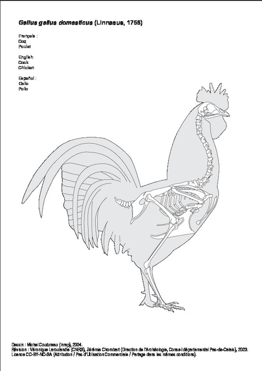 Coq