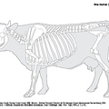 Cow (1294 visits) Dessin : Michel Coutureau (Inrap), Vianney Forest (Inrap), 1996. Révision : Jérémie Chombart (Dir... Cow
