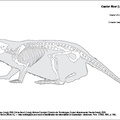 Castor_fiber_2023.pdf