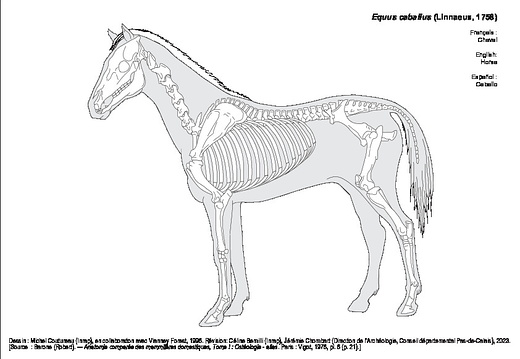 Cheval