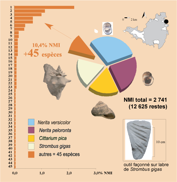 Site de Baie Orientale à Saint-Martin : campements de groupes Précéramiques (800/400 av. J.-C.)