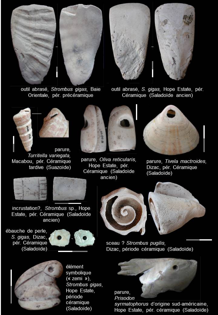 Exemples d’objets travaillés produits à partir de coquilles de mollusques. [© N. Serrand]
