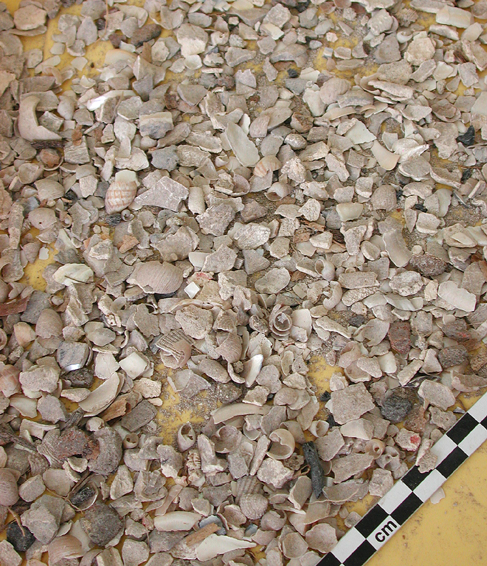 Échantillon de restes fragmentaires de l’assemblage du site céramique (post-Saladoïde) de Baie Orientale. Saint-Martin, Antilles françaises. [© N. Serrand]