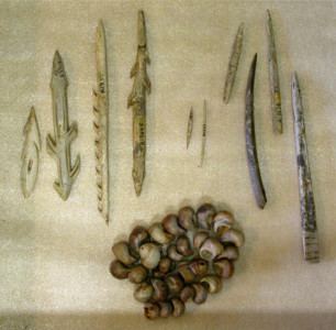 Musée des Tumulus de Bougon, 2011 Outils et coquillages