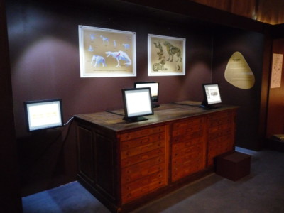 Musée des Tumulus de Bougon, 2011 Vitrine de l'exposition