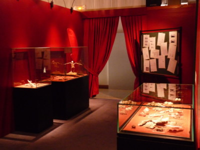 Musée des Tumulus de Bougon, 2011 Vitrines de l'exposition