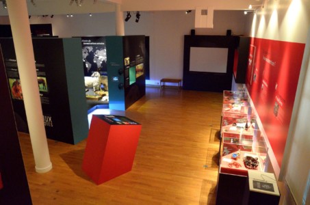 Muséum Henri-Lecoq, 2013 Vitrines de l'exposition